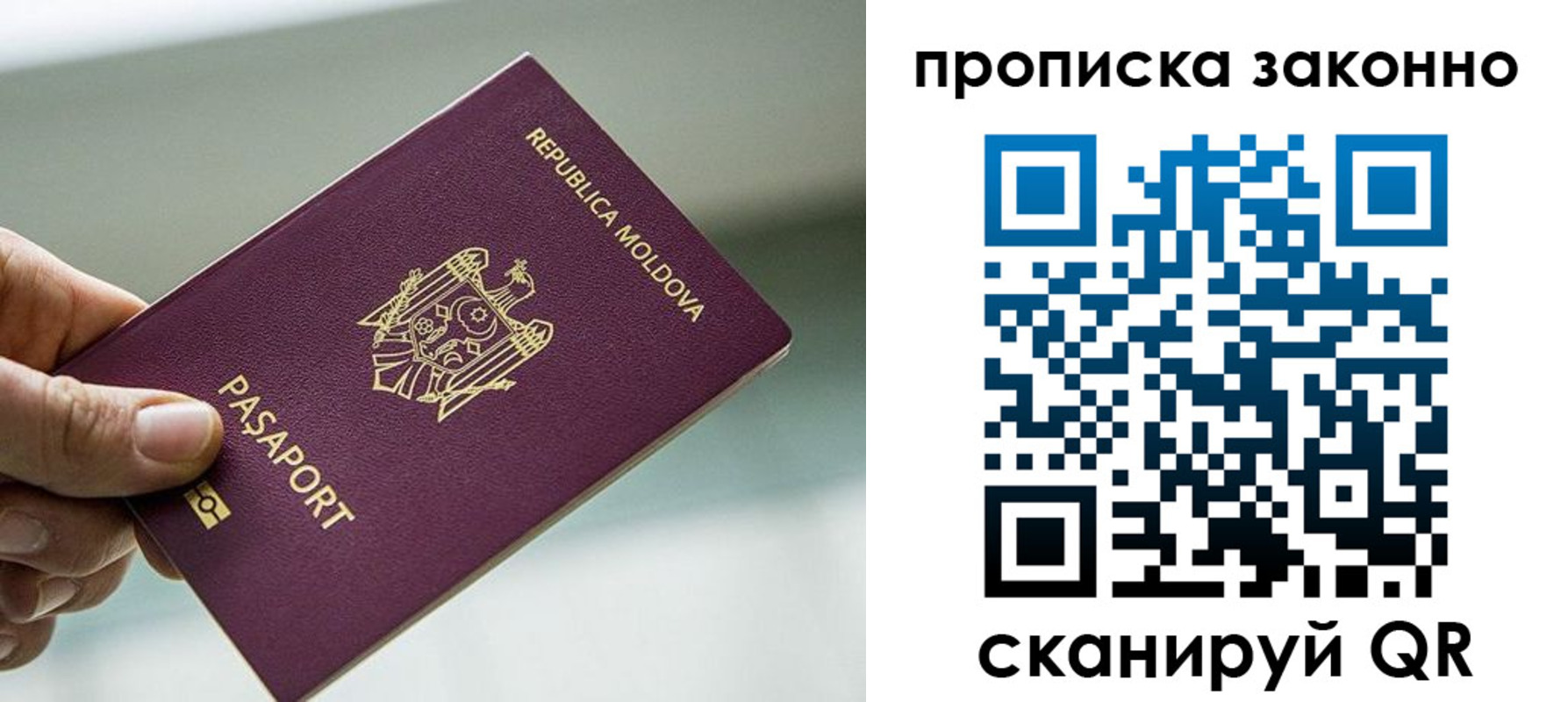 временная регистрация недорого в Ермолино